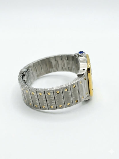 Cartier Santos de Cartier Large Automatic W2SA0009
