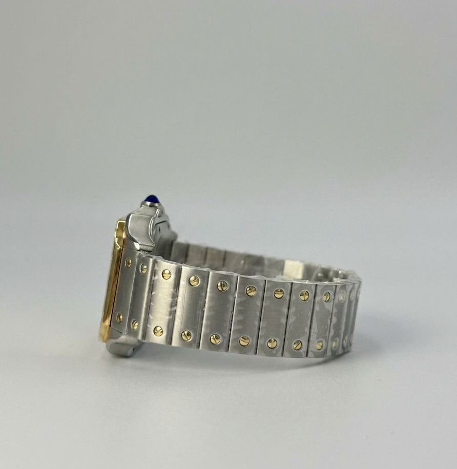 Cartier Santos de Cartier Large Automatic W2SA0030